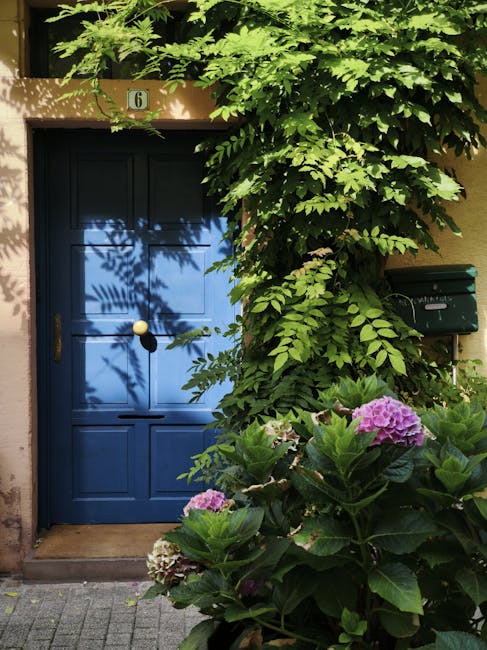 Always growing support services